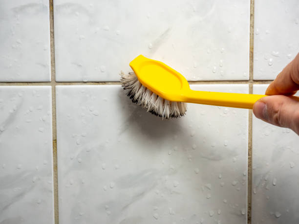 Best Certified Mold Removal  in Watertown, MN
