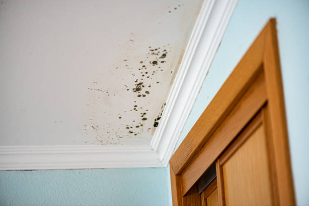 Water Damage Restoration in Watertown, MN