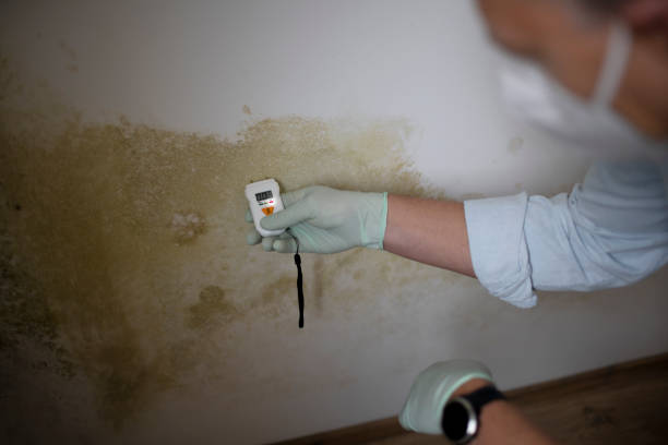Best Mold Testing  in Watertown, MN