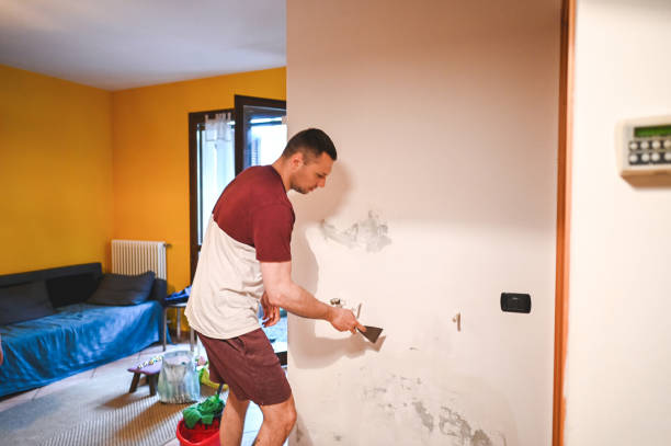 Best Local Mold Removal Service  in Watertown, MN